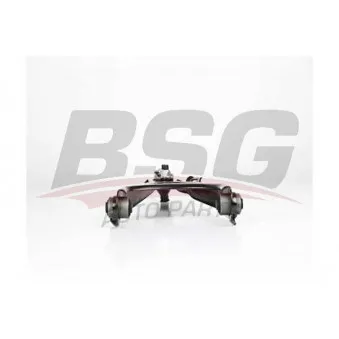 BSG BSG 75-315-011 - Triangle ou bras de suspension (train avant)