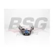 BSG BSG 75-315-035 - Triangle ou bras de suspension (train avant)