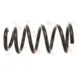 TRW JCS1160 - Ressort de suspension