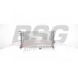 BSG BSG 75-520-005 - Radiateur, refroidissement du moteur