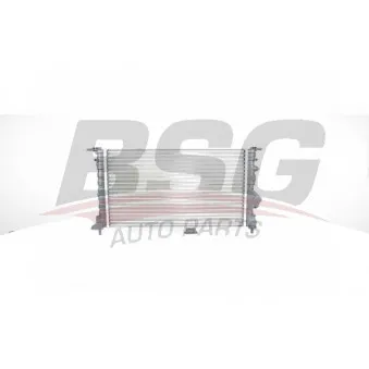Radiateur, refroidissement du moteur BSG BSG 75-520-005 pour RENAULT KANGOO D 65 1.9 - 64cv