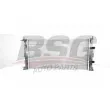 BSG BSG 75-520-010 - Radiateur, refroidissement du moteur