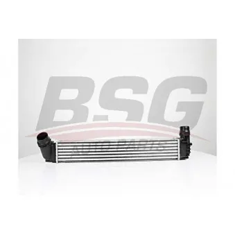 Intercooler, échangeur BSG BSG 75-535-004