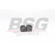 BSG BSG 75-700-012 - Suspension, stabilisateur