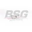 BSG BSG 90-130-015 - Filtre à carburant