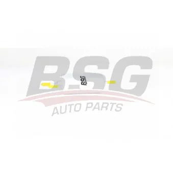 Filtre à carburant BSG BSG 90-130-017 pour AUDI A4 RS4 quattro - 420cv