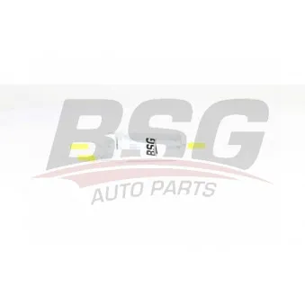 BSG BSG 90-130-019 - Filtre à carburant