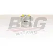 BSG BSG 90-130-025 - Filtre à carburant