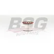 BSG BSG 90-130-036 - Filtre à carburant