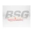 BSG BSG 90-135-024 - Filtre à air
