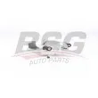 BSG BSG 90-245-015 - Étrier de frein avant droit