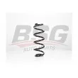 BSG BSG 90-305-005 - Ressort de suspension