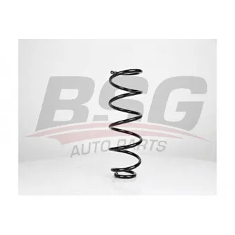 BSG BSG 90-305-008 - Ressort de suspension
