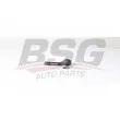 BSG BSG 90-310-185 - Rotule de barre de connexion