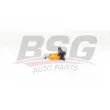 BSG BSG 90-310-194 - Rotule de suspension