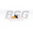 BSG BSG 90-310-195 - Rotule de suspension