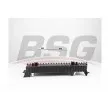 BSG BSG 90-520-015 - Radiateur, refroidissement du moteur