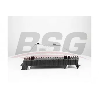 Radiateur, refroidissement du moteur BSG BSG 90-520-015