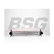 BSG BSG 90-535-015 - Intercooler, échangeur
