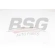 BSG BSG 90-870-008 - Bougie de préchauffage