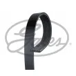 GATES 6PK1080EST - Courroie trapézoïdale à nervures