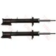 TRW JGM188T - Jeu de 2 amortisseurs arrière