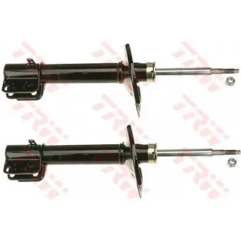 Jeu de 2 amortisseurs arrière TRW OEM 4656069