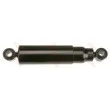 Jeu de 2 amortisseurs avant TRW [JHX5024]