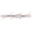 Flexible de frein QUICK BRAKE [32.202]