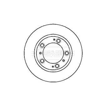 BORG & BECK BBD4205 - Jeu de 2 disques de frein arrière