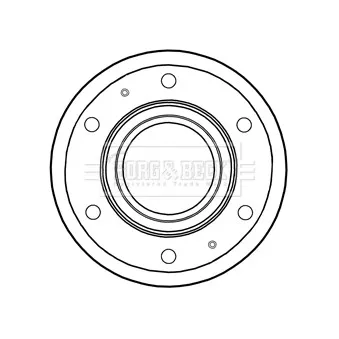 Jeu de 2 disques de frein arrière BORG & BECK OEM 7189456