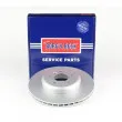 BORG & BECK BBD6042S - Jeu de 2 disques de frein arrière