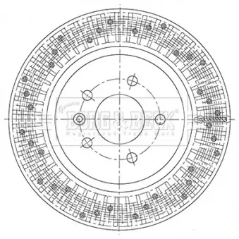 Jeu de 2 disques de frein arrière BORG & BECK OEM 569089