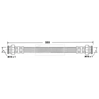 Flexible de frein BORG & BECK OEM 7704001930