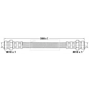 Flexible de frein BORG & BECK OEM D06143810C