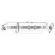BORG & BECK BBH6802 - Flexible de frein