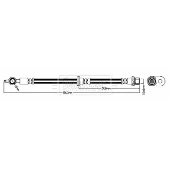 Flexible de frein BORG & BECK OEM 9008094203