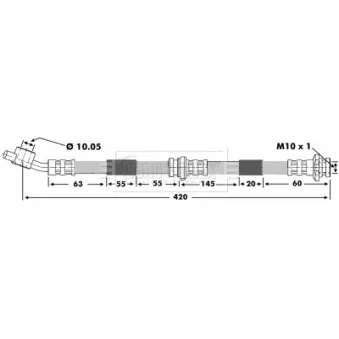 Flexible de frein BORG & BECK OEM 462102F002