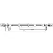 Flexible de frein BORG & BECK [BBH8223]