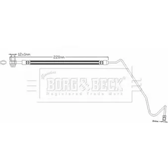 Flexible de frein BORG & BECK BBH8351 pour VOLKSWAGEN POLO 1.6 - 75cv