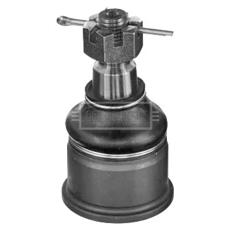 Rotule de suspension BORG & BECK OEM 51220SL5013