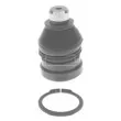 BORG & BECK BBJ5585 - Rotule de suspension
