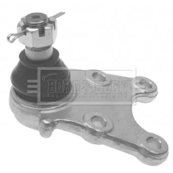 Rotule de suspension BORG & BECK OEM 98005874