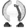 BORG & BECK BBS1059K - Kit de freins arrière (prémontés)