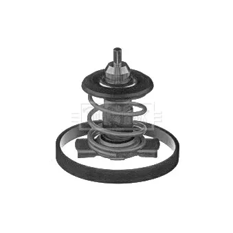 Thermostat d'eau BORG & BECK OEM 55241404