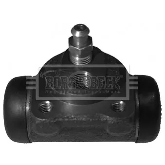Cylindre de roue DELPHI LW21927