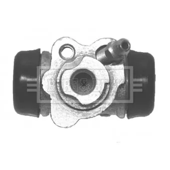 BORG & BECK BBW1754 - Cylindre de roue