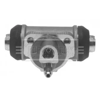 Cylindre de roue DELPHI LW90095