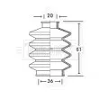 BORG & BECK BCB2423 - Joint-soufflet, arbre de commande