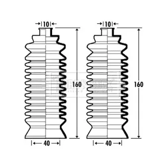 Joint-soufflet, direction BORG & BECK BSG3369